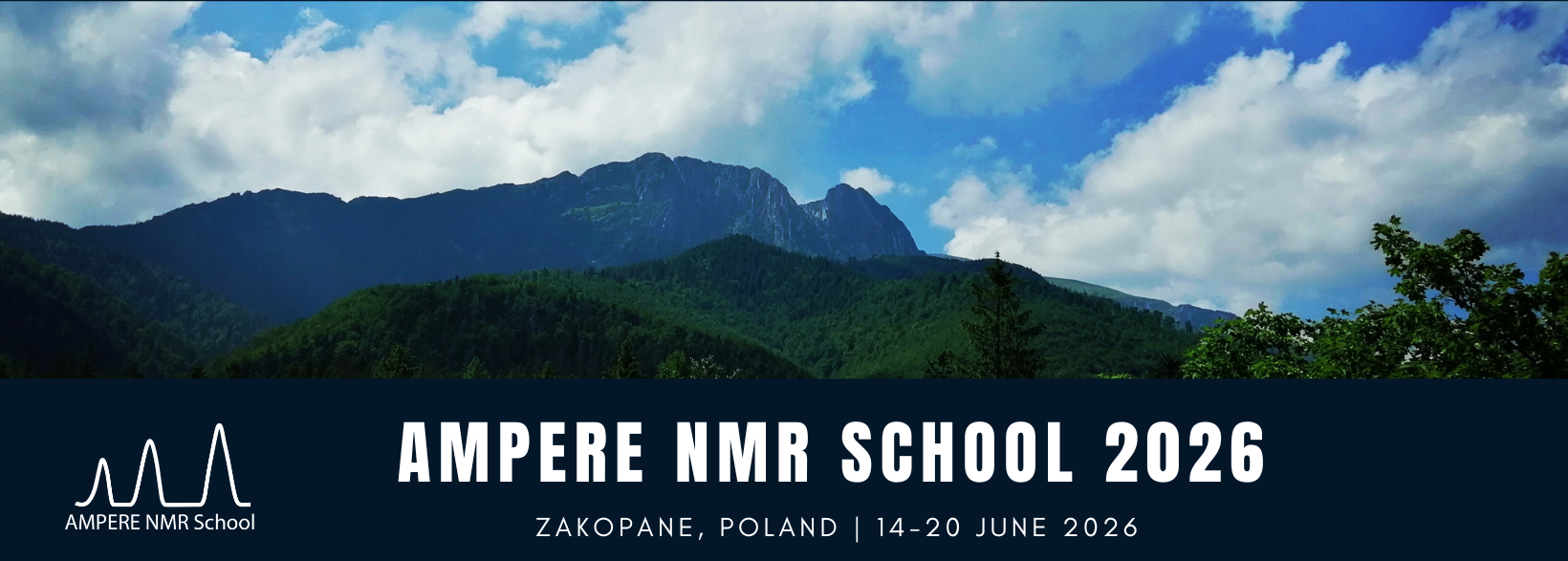 https://school.web.amu.edu.pl/wp-content/uploads/2025/06/toAMPERE2026.png